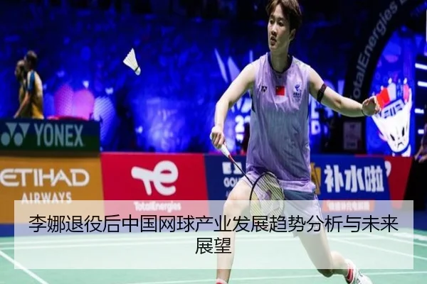 li-na-tui-yi-hou-zhong-guo-wang-qiu-chan-ye-fa-zhan-qu-shi-fen-xi-yu-wei-lai-zhan-wang-2-589.jpg