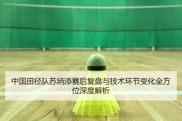 中国田径队苏炳添赛后复盘与技术环节变化全方位深度解析