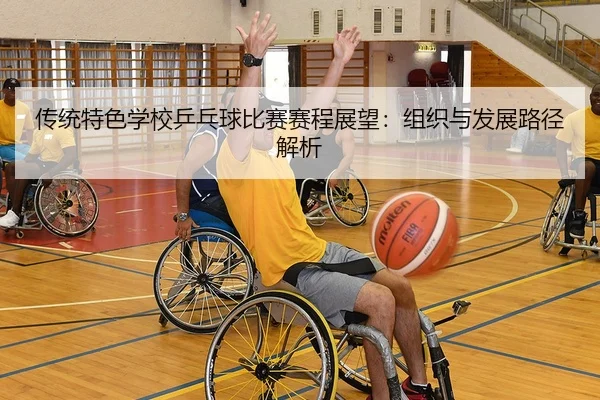 传统特色学校乒乓球比赛赛程展望：组织与发展路径解析